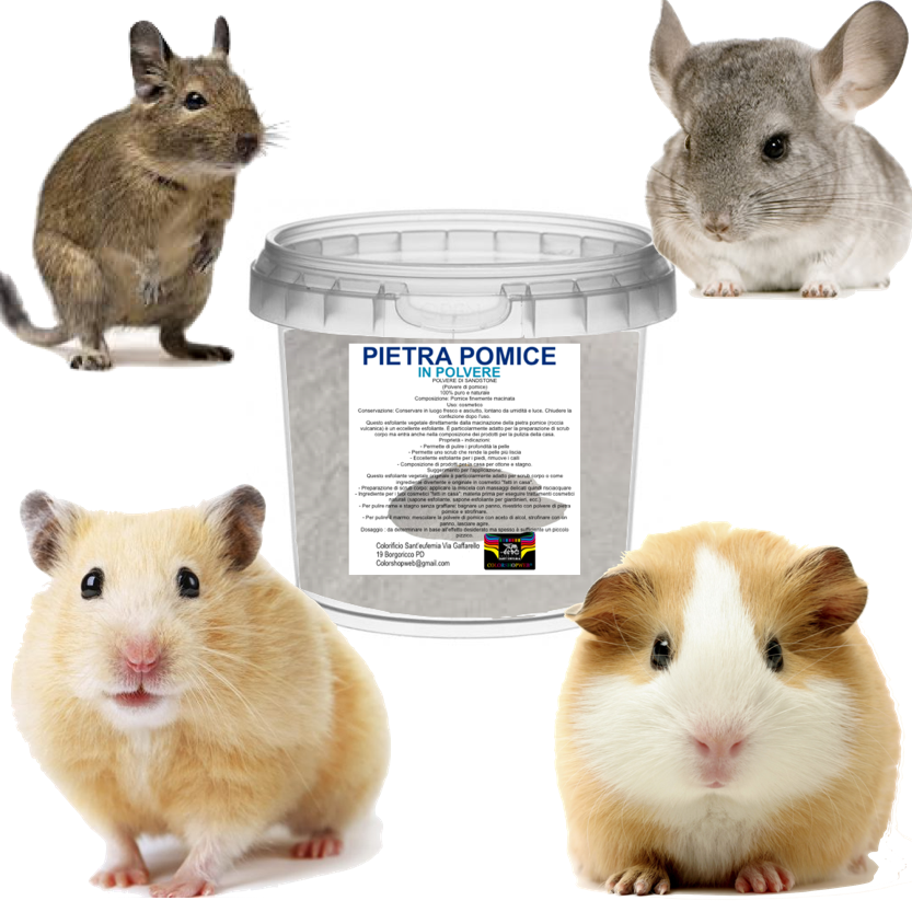 Polvere da Bagno per Cincillà e Animali Piccoli Sabbia di Pomice Detergente Naturale e Pura per la Pulizia di Degu, Criceti e Gerbilli 1 KG