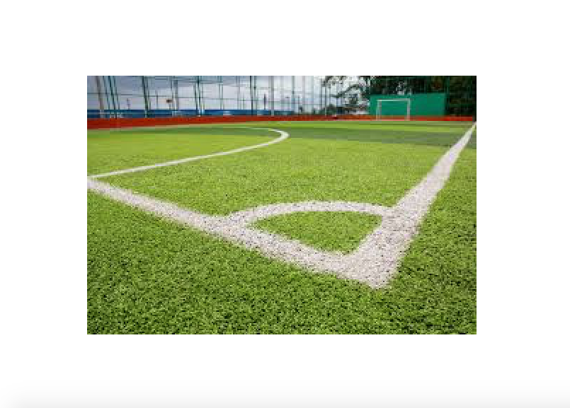 VERNICE ECOLOGICA PER CARRELLO SEGNACAMPO CONF. 14 LITRI PER CAMPI ERBA AD ACQUA