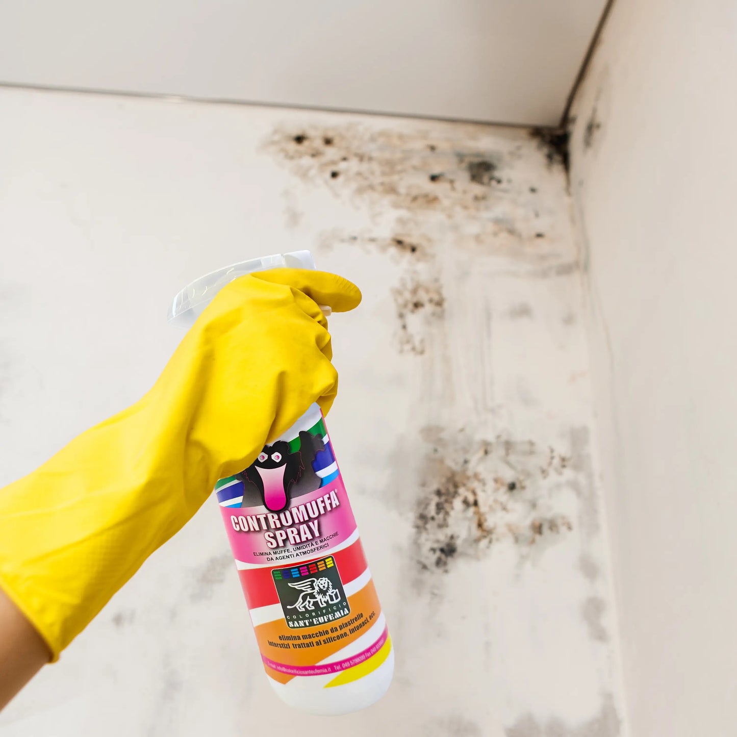 CONTROMUFFA - Disinfettante ANTIMUFFA battericida Ecologico elimina muffa funghi alghe PROFESSIONALE